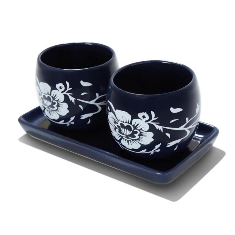 Summer & Rose Ceramic Herb Planter Set w Tray Indoor Outdoor Kitchen Windowsill